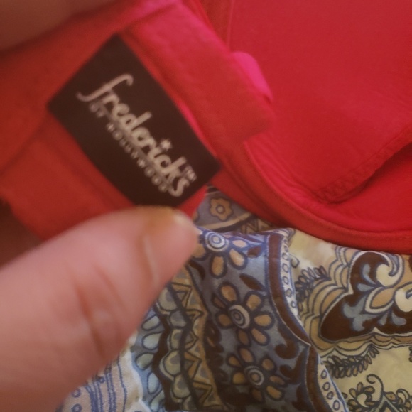 Everything - Picture 7 of 8